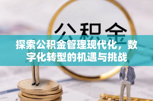 泾源探索公积金管理现代化，数字化转型的机遇与挑战