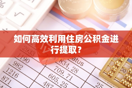 延长如何高效利用住房公积金进行提取？