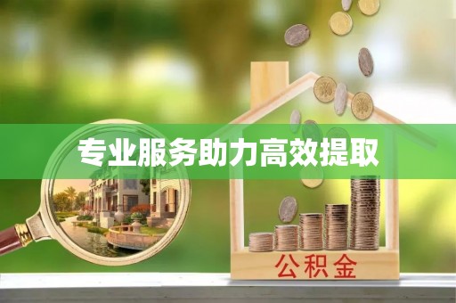 融安专业服务助力高效提取